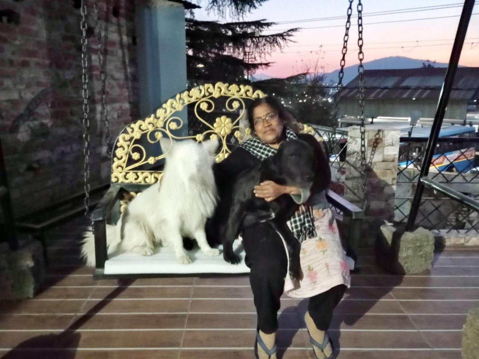 Mehra Cottage Almora Pokoj fotografie